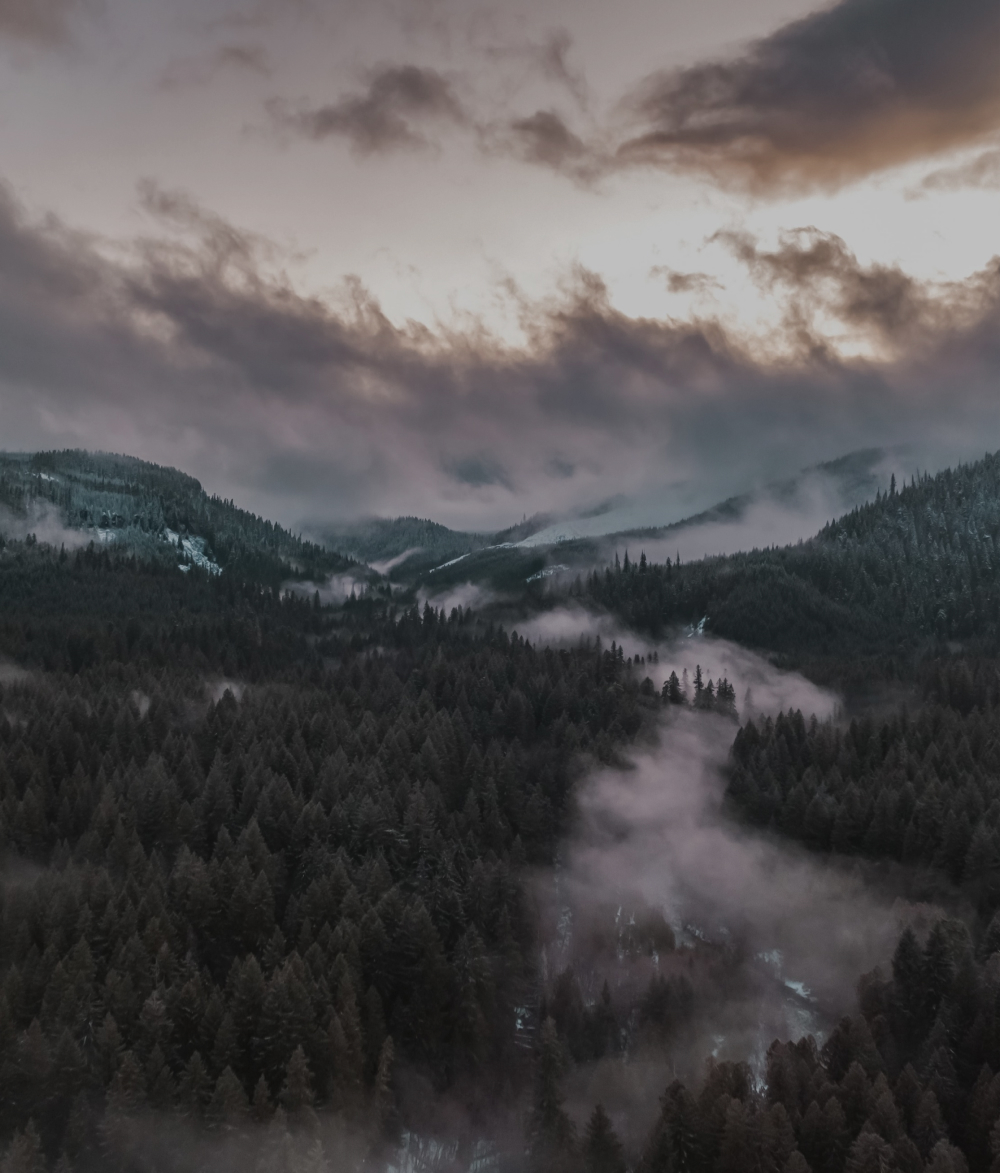 Preserving our natural legacy with Stand Tall Oregon